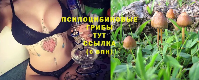 даркнет сайт  Нижний Ломов  Галлюциногенные грибы MAGIC MUSHROOMS 